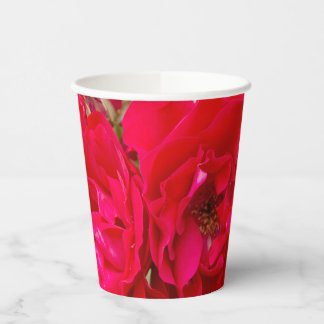 Big red roses in the garden paper cups