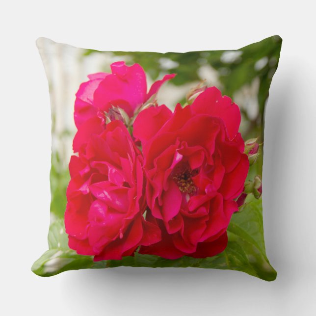 Big red roses in the garden  throw pillow (Front)