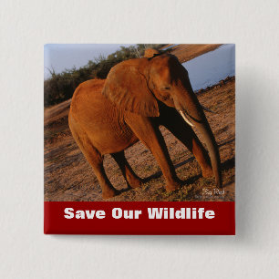 Big Red Save Our Wildlife 2 Inch Square Button