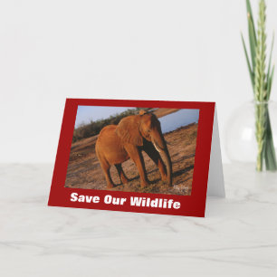 Big Red Save Our Wildlife Greeting Card