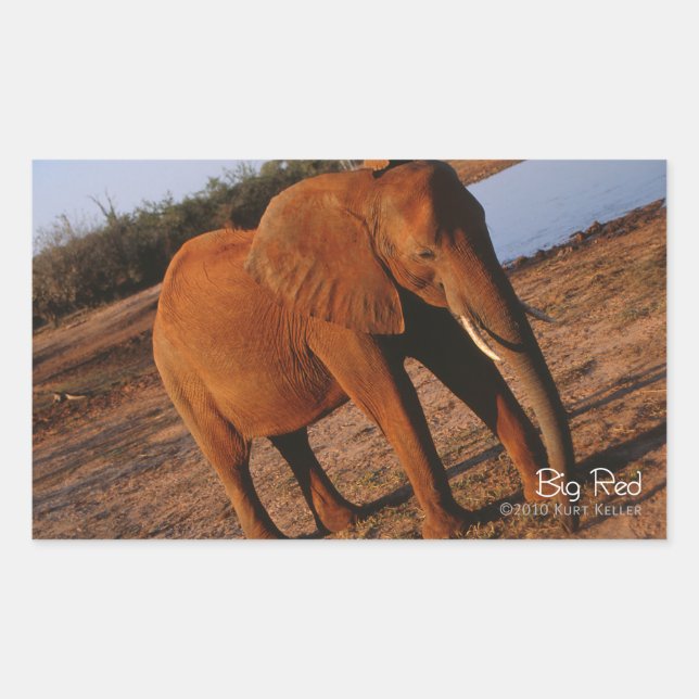 Big Red Sticker (Front)