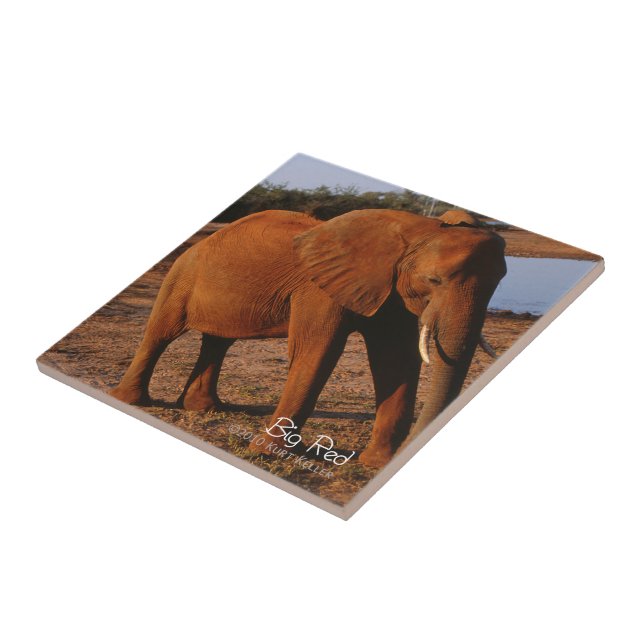 Big Red Tile (Side)