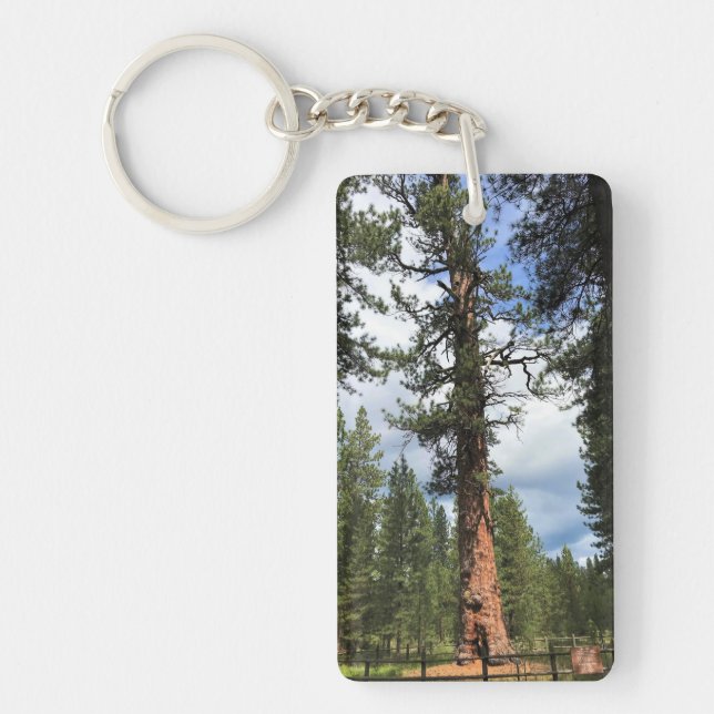 Big Red Tree, La Pine, Oregon Keychain (Front)