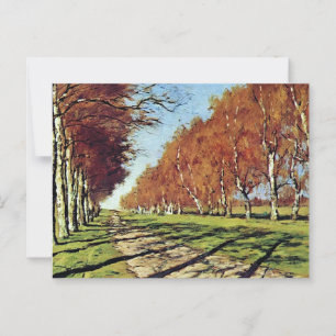 Big Road, Sunny Autumn Day Postcard