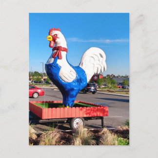 Big Rooster Postcard
