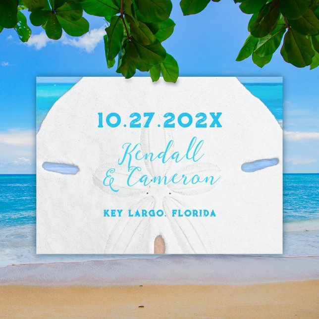 Big Sand Dollar Simple Save the Date Cards (Creator Uploaded)