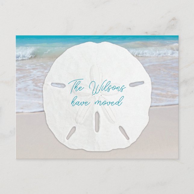 Big Sand Dollar Tropical New Address Postcards (Front)