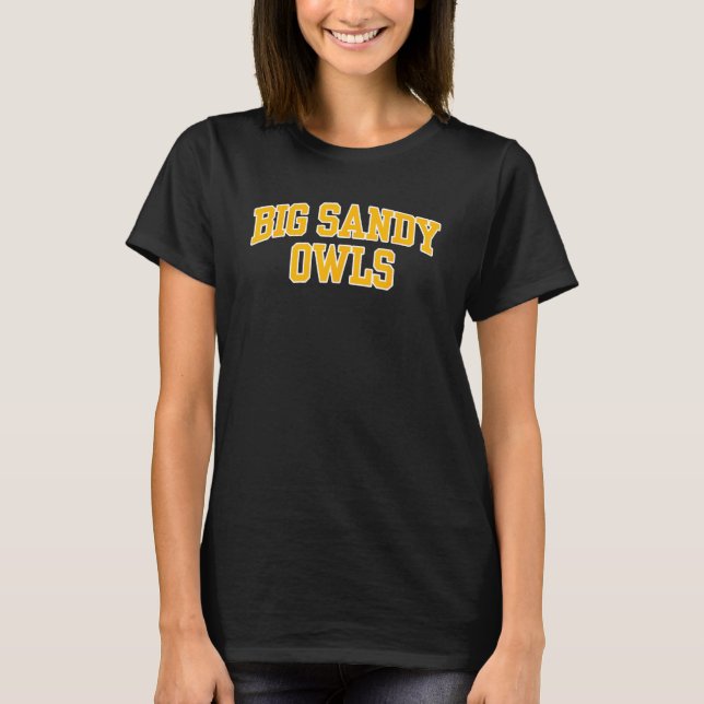 Big Sandy Community and Technical College Owls 02 T-Shirt (Front)