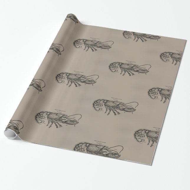 Big Sandy Lobster Wrapping Paper (Unrolled)