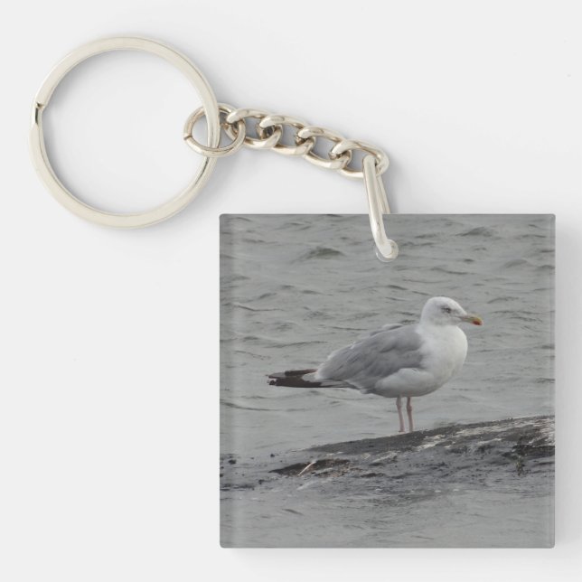 Big seagull keychain (Front)