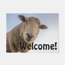 Big Sheep - Welcome!