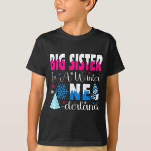 Big Sister In A Winter Onederland Bday Girl Sweet  T-Shirt