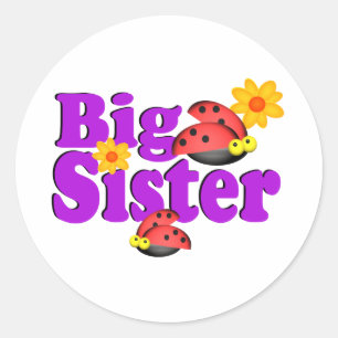 Big Sister Ladybug Classic Round Sticker