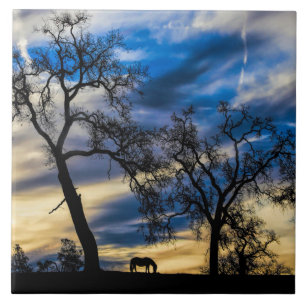 Big Skies Art Tile with Horse and Oak Trees