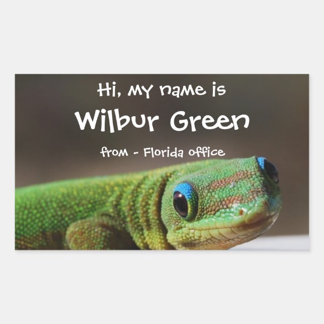 Big Smiling Gecko Name Badge Sticker (Front)