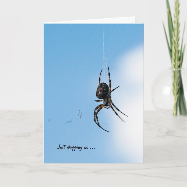 Big Spider for thinking of you Card (Front)