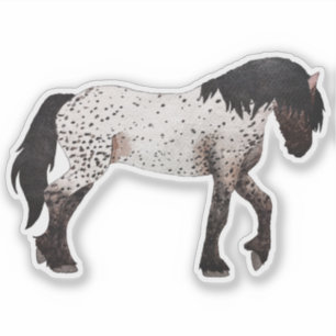 Big Spotty Boi