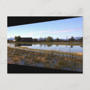 Big Springs Postcard