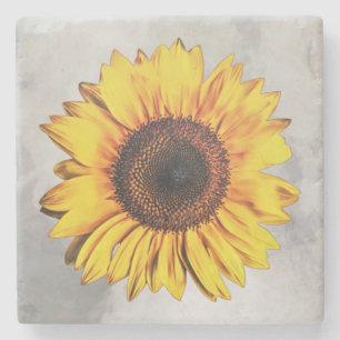 Big Sunflower Flower Floral Art Coaster