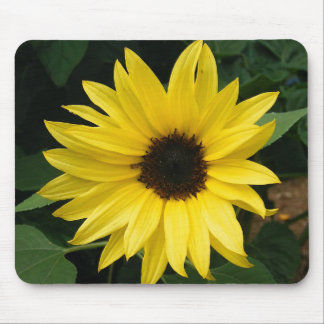 Big Sunflower Mouse Pad