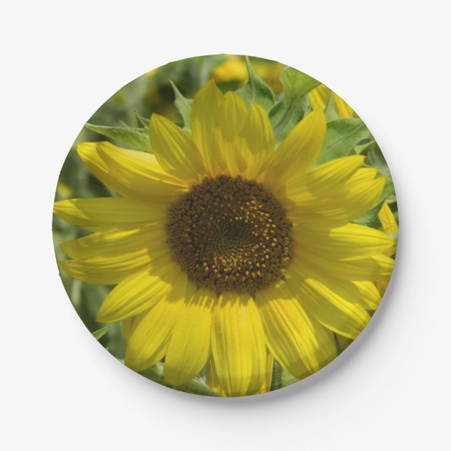 Big Sunflower Paper Plate (Front)