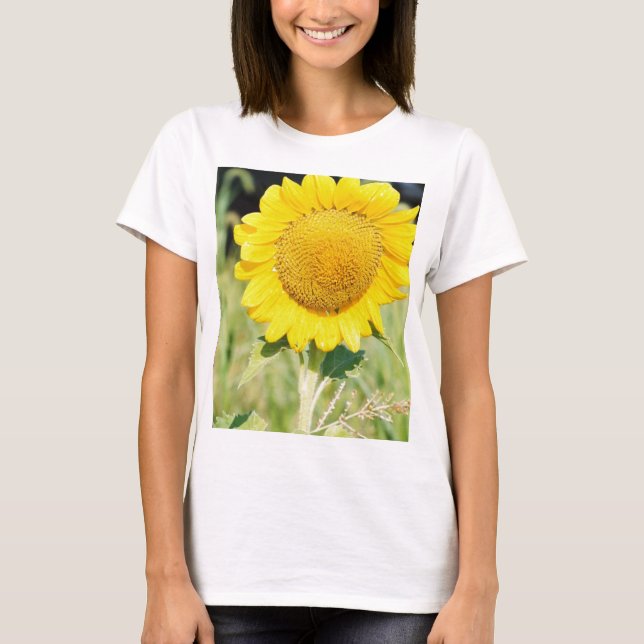 'BIG SUNFLOWER T-Shirt (Front)