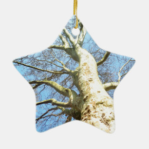Big Sunny Tree Branches in Heavenly Blue Sky Ceramic Ornament
