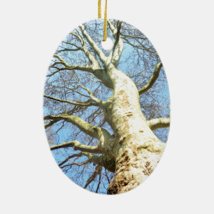Big Sunny Tree Branches in Heavenly Blue Sky Ceramic Ornament