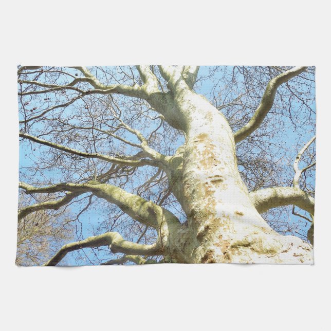 Big Sunny Tree Branches in Heavenly Blue Sky Kitchen Towel (Horizontal)
