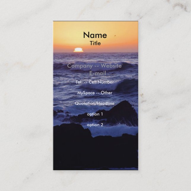 Big Sur Business Card (Front)