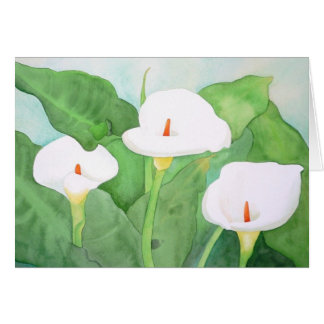 Big Sur CalaLillies card