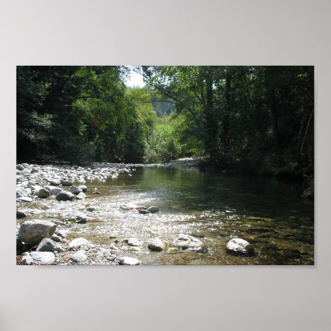 Big Sur Campground - Stream Flowing Through Trees Poster (Front)
