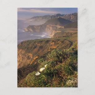 Big Sur Coast California Postcard