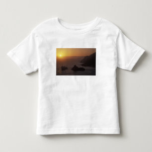 Big Sur off Highway 101, California, USA Toddler T-shirt