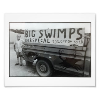 Big Swimps Print... Photo Print
