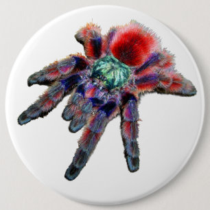 Big teal purple red and blue tarantula spider 6 inch round button