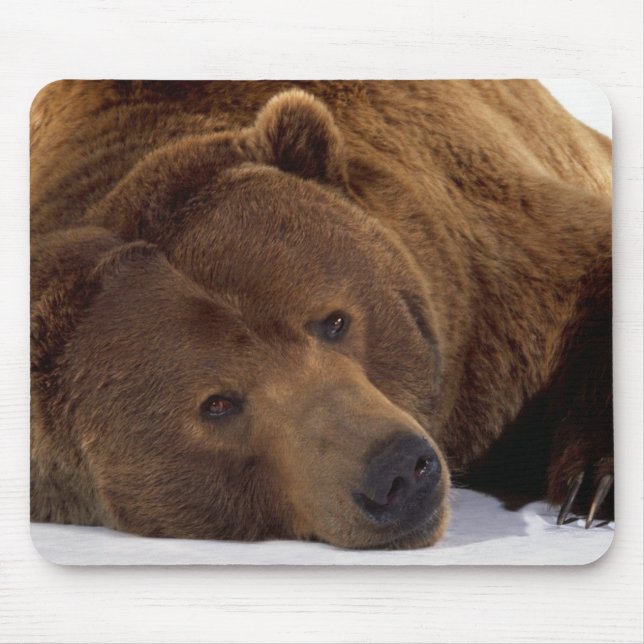 Big Teddy Bear Mouse Pad (Front)