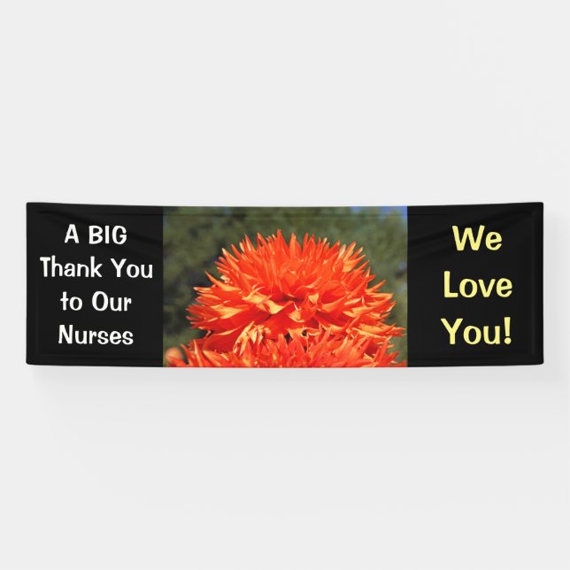 Big Thank You Nurses Banners We Love You RNs (Horizontal)