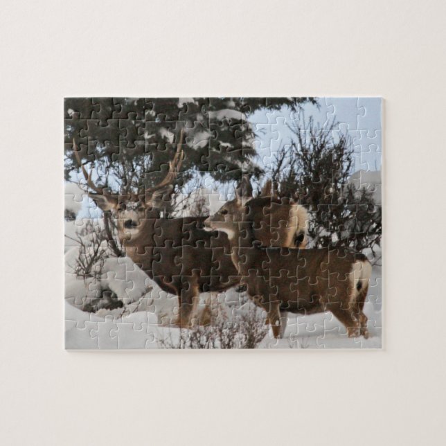 Big three point jigsaw puzzle (Horizontal)
