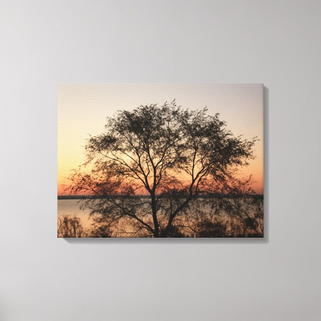 Big Tree Canvas Print (Front)