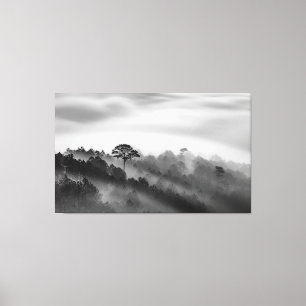 Big Tree in Pine Forest in the Mist Canvas Print