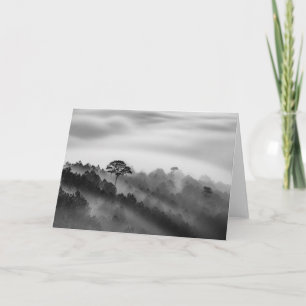 Big Tree in Pine Forest in the Mist Card