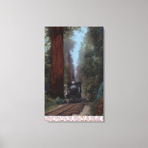 Big Tree Railroad Station Canvas Print