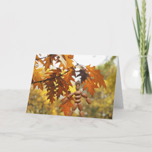 Big trees from little acorns grow. card