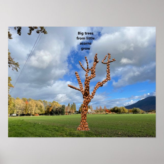 Big trees from little acorns grow. poster (Front)