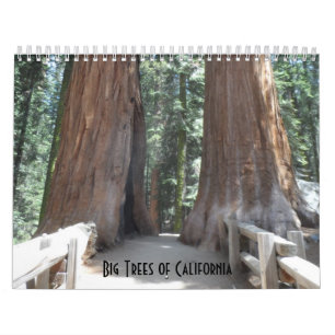 Big Trees of California  Calendar
