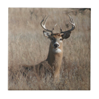 Big Trophy Buck Deer in Tall Grass Camo Tile