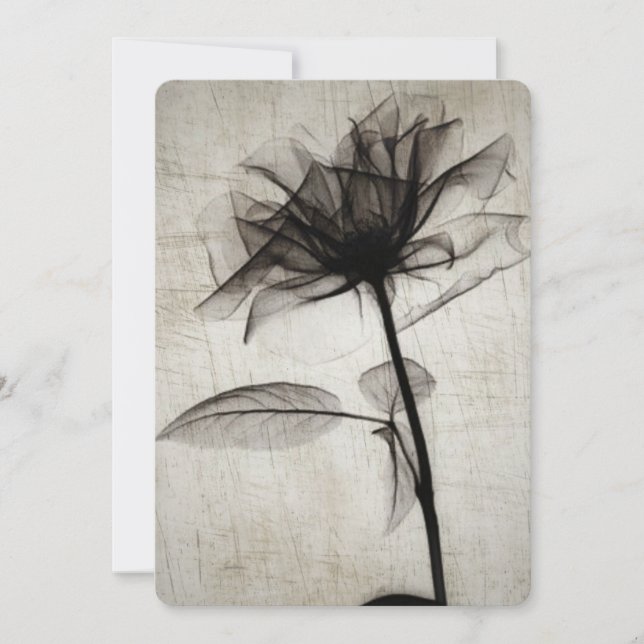 Big Vintage X-Ray Flower (Front)