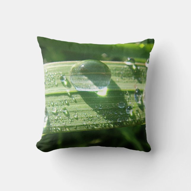 Big Waterdrop Throw Pillow (Front)