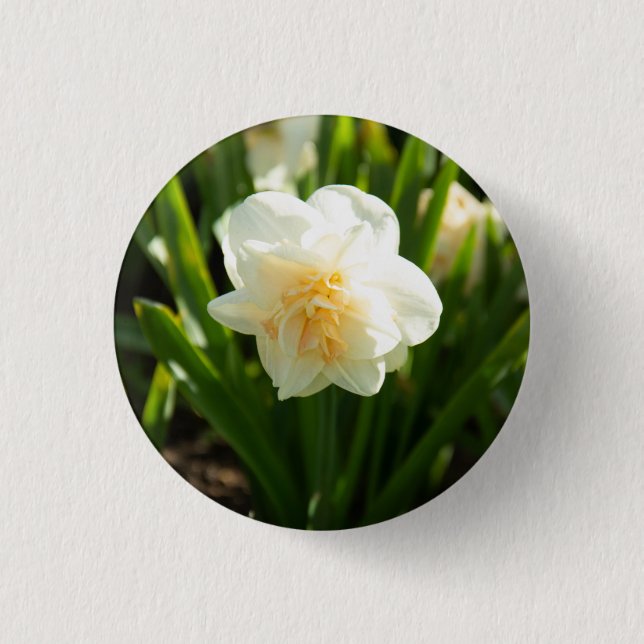 Big white daffodils on a spring day   1 inch round button (Front)